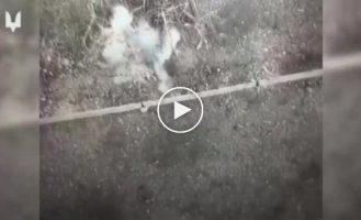 Ukrainian special forces destroy the enemy in the Avdiivka direction
