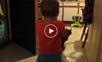 Кот и малыш отлично поняли друг друга!