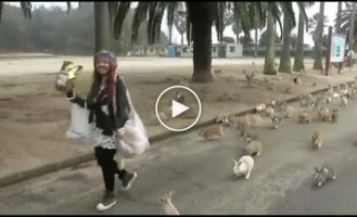 The girl came across a herd of hares who wanted to eat something delicious.