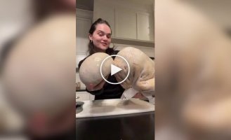 Рідкісний делікатес: гігантський головач і його незвичайні властивості