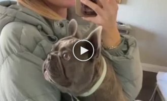 A dog that no one taught to bark, so he makes funny noises