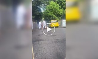 У Португалії почали спускатися з гор на гігантських кошиках для білизни