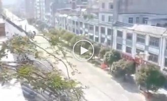 Реакция маламута на пожарную машину с включённой сиреной