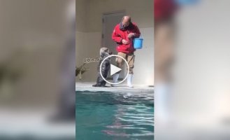 Otter asks for fish