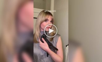 Идеально сочетается с образом: девушка постоянно носит в сумке голубя