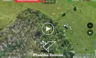 Мінус 20 ворожих БПЛА дрони, оснащені сіткометом, збивають російські безпілотники