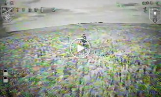 Soldiers of the 66th Separate Motorized Brigade accurately attack Russian infantry with kamikaze drones in the Liman direction