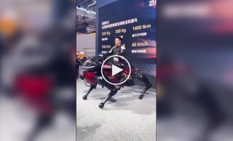 В Китае создали робота-коня