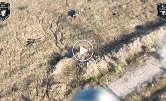 Ukrainian military destroys Russians using drones