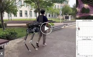 Китайці представили екзоскелет, що пристібається.