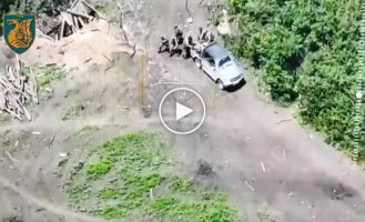Outskirts of Nikolaev, orcs discovered by drone and shot by artillery