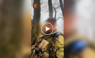 Soldiers of the 95th Air Assault Brigade eliminated a hundred Russians from the 810th Marine Brigade and destroyed 28 units of equipment in the Kursk region