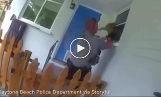 В США задержали гигантскую игуану