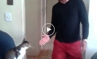 Кот который знает как здороваться со своим хозяином