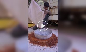 Shellac in India: ancient Resin with eternal value