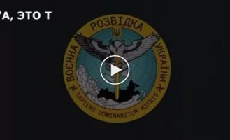 У нас здесь «самострельщик» ногу себе прострелил. Командиры наши – суки просто