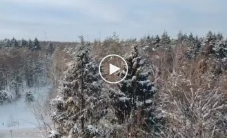 A drone distracted a bear from chasing a person