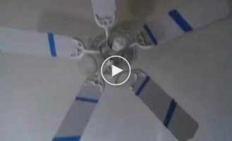 Необычный вентилятор на потолок