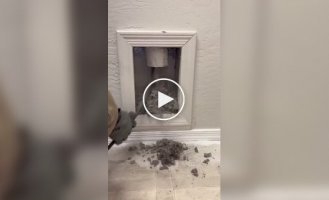 Ventilation cleaning for the first time in 45 years
