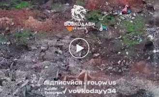 Оккупанты пытаются пробиться к позициям защитников Волчанска, идя по телам своих предшественников