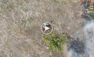 The body of a suicidal occupier spins in the air after a grenade explosion