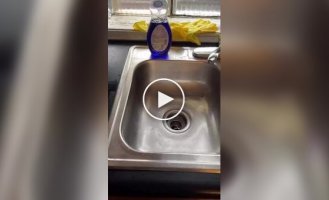 Для чего еще можно использовать щетку