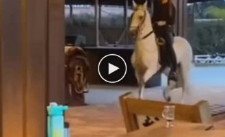 Live horse from Boston Dynamics