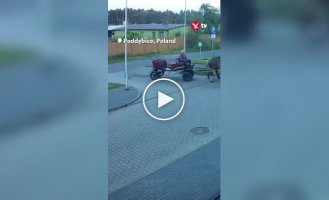 Пьяный мужчина приехал в полицию на лошади, потому что ему запретили водить авто