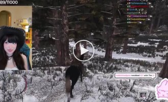 Реакция девушки на нападение медведя в игре RDR