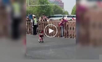 Миниатюрный робот прославился после забега