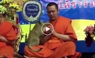 Тяжелое испытание для буддиста
