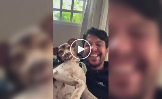 Dogs that look like their owners
