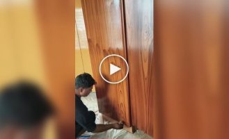 Індійський метод фарбування стін