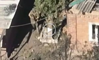 An occupier receives a bullet from a sniper while peeking around the corner of a house