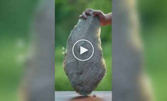 Китайская кисть для письма и каллиграфии