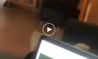 Когда твой пес пересмотрел ужастиков