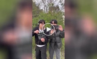 Режисер вчить пухнастих акторів правильно нявкати в кадрі