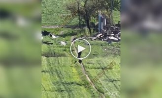 Окупант вигулює свого підсобника, який повзе за ним рачки