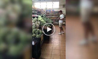 Пушистый любитель брокколи