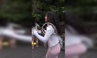 Обезьяний лес на Бали оказался не таким милым, как в соцсетях