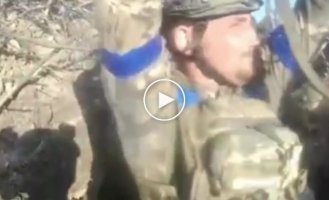 Assault on Russian positions in the Zaporozhye direction from the first person of the Ukrainian military