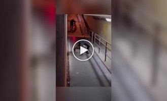 Пранкер, который может испугать кого угодно