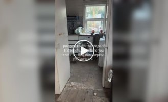 The Renovation Was Going According to Plan Until a Spouse Found a Fox in Their Kitchen