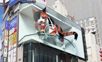 A giant 3D cat at a Tokyo station