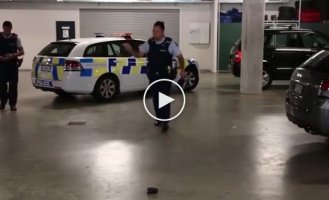Полицейские Новой Зеландии устроили зажигательные танцы на служебной парковке