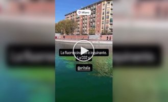 Екоактивісти пофарбували води Гранд-каналу в Венеції в кислотно-зелений колір