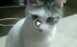 Ты не получишь зарплату