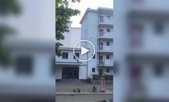 Странные видео (короткие видео). Выпуск 39