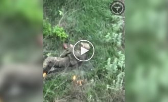 The occupier puts a grenade under his bulletproof vest and blows himself up near Avdiivka