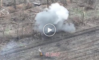 A selection of hits against Russian occupiers using FPV drones from the 65th OMBR. Robotino